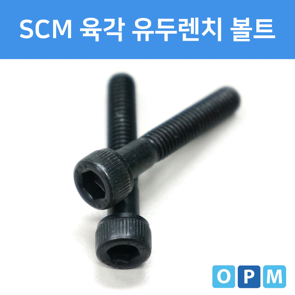SCM 육각 렌치 볼트 M6x8 (18개)